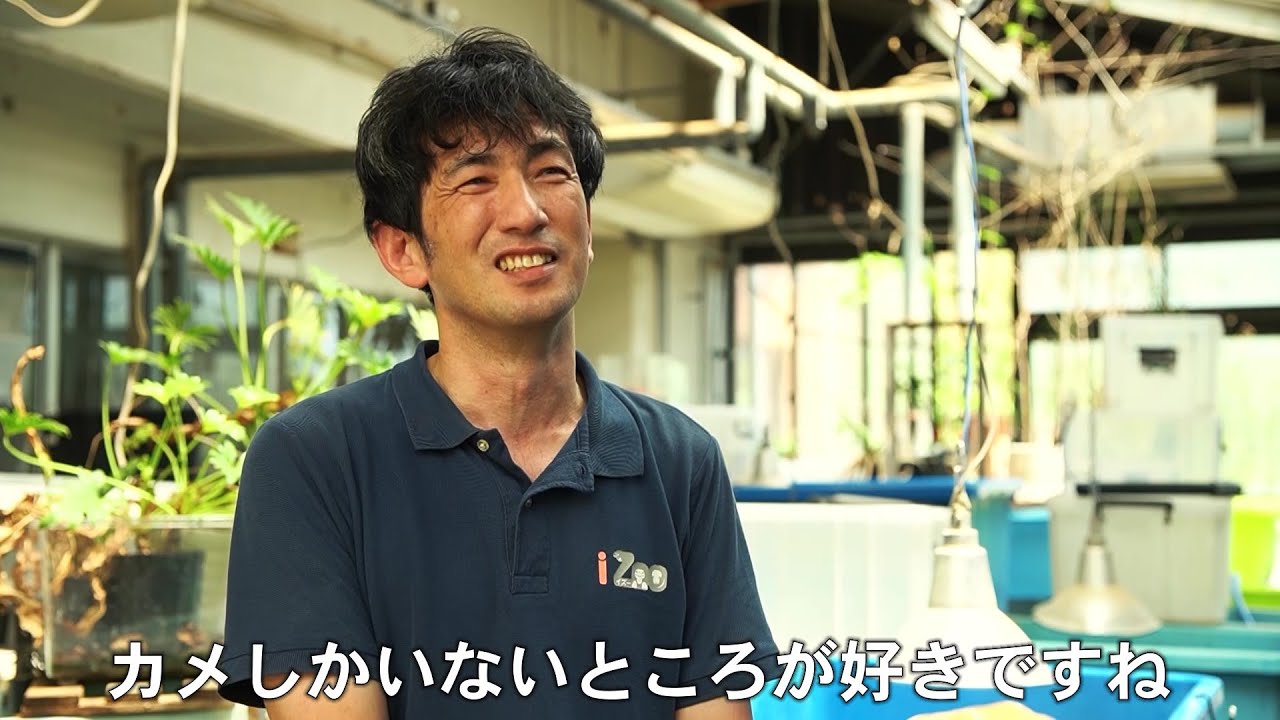 iZoo名物　カメボーイ　インタビュー篇 CM【公式】