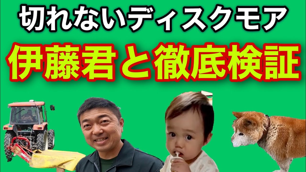 切れないディスクモア【伊藤君と徹底検証】