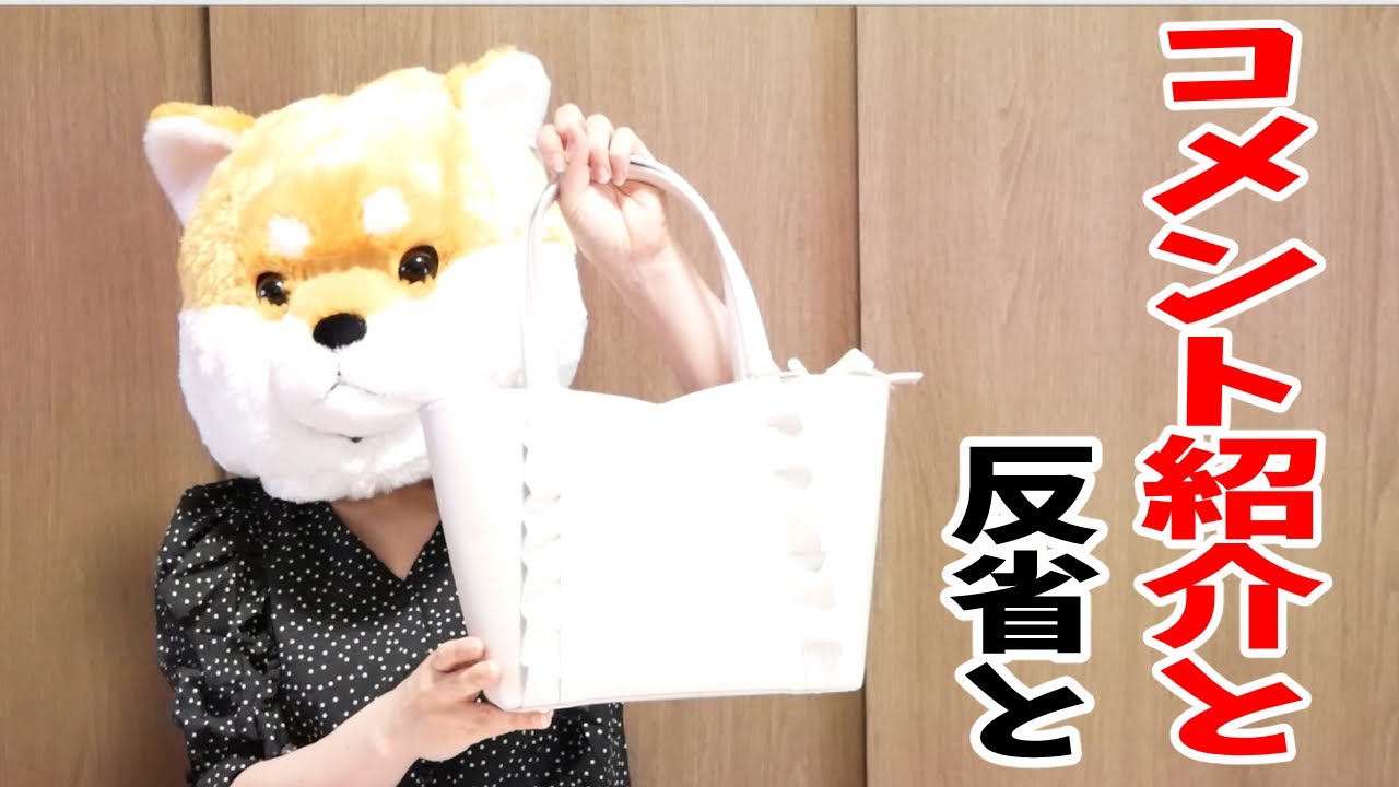 説明欄に補足あり！コメント紹介と反省に久しぶりの犬を添えて…