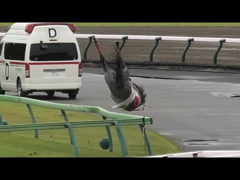 ピンクダイヤ劇場、背面飛びに逆走、フィールザファラオとの交流も！