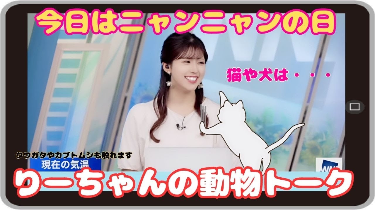 【小林李衣奈】『怖いんです』「クワガタやセミは平気で触れるのに ワンちゃんニャンちゃんには慣れないりーちゃん」【ウェザーニュース】20230822