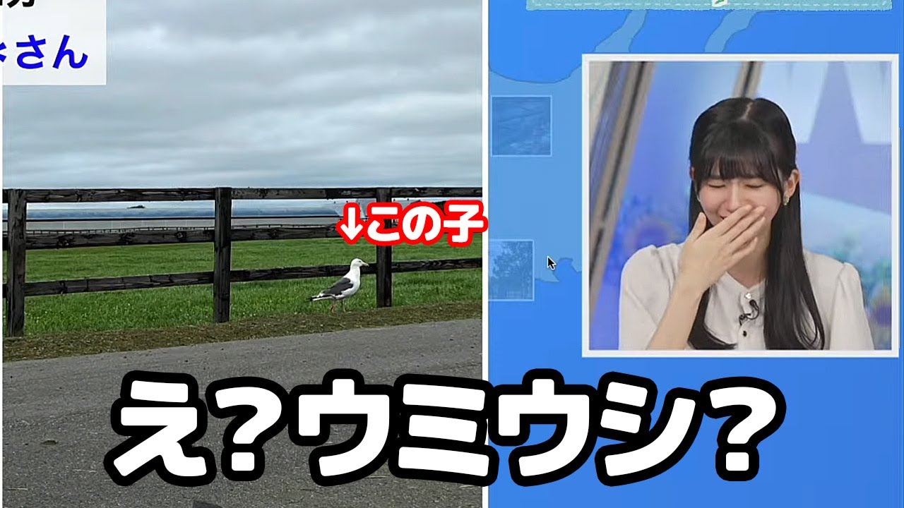 【大島璃音】今日もまた学びがあった3か月後には3年目に突入するお天気キャスター