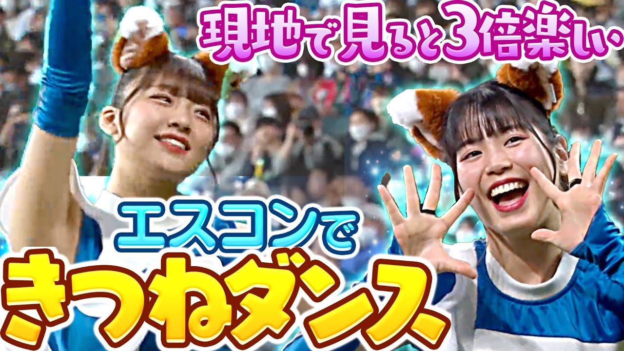 【推奨】現地できつねダンスを見ると“3倍”楽しい