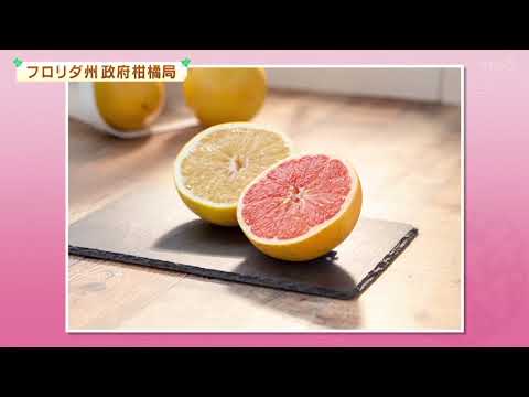 230309突撃！ナマイキＴＶ フロリダグレープフルーツキャンペーン告知