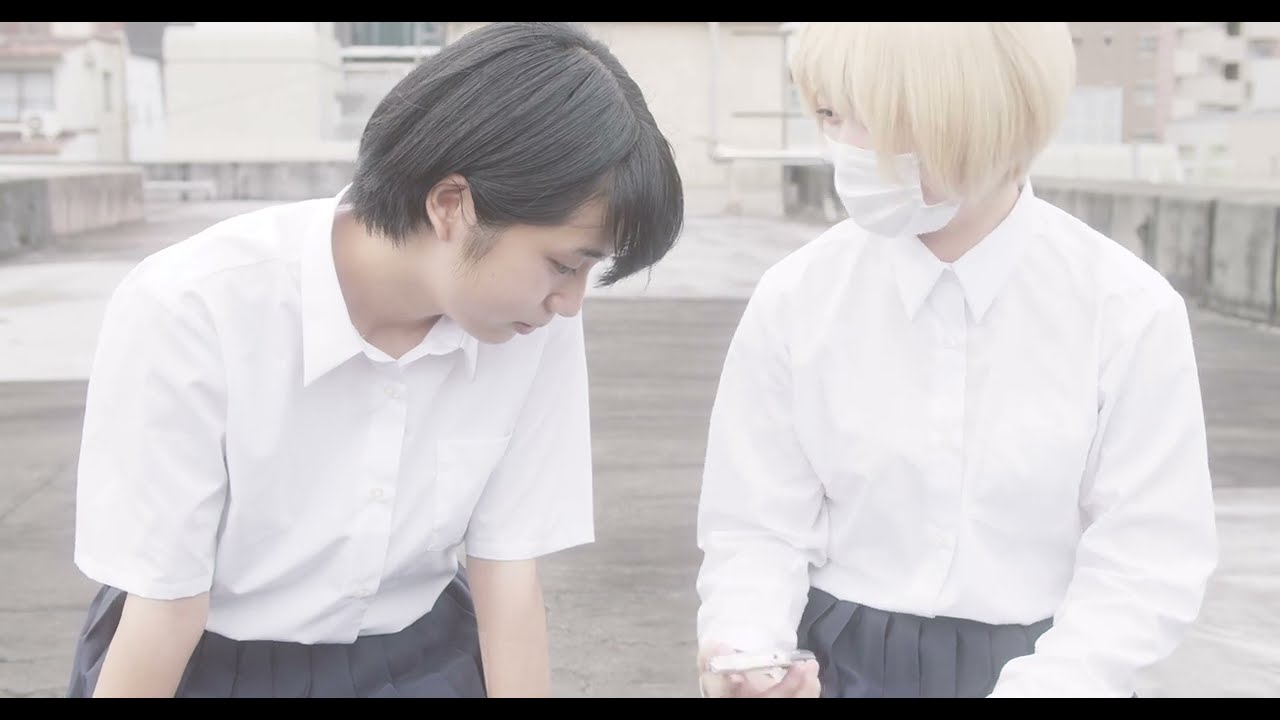 映画「ふたりの傷跡」予告編