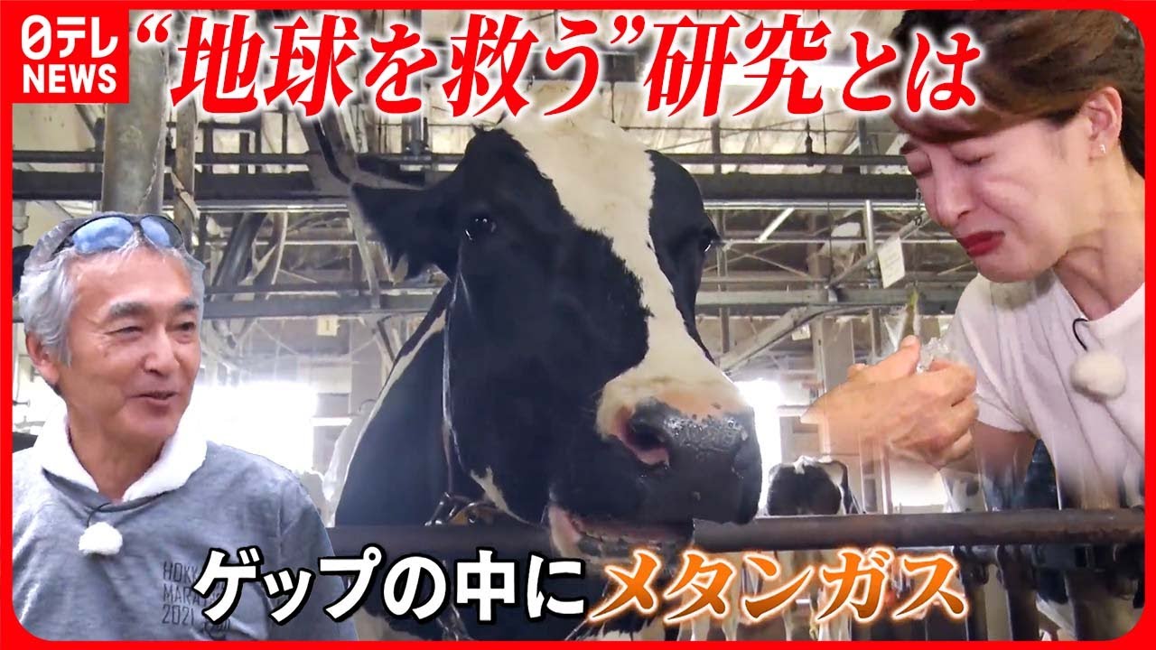 【ウシの“ゲップ博士” 】最先端の研究で「地球を救う」『ベタバリ』