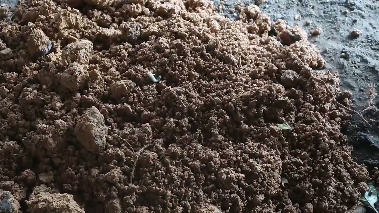 ぽかぽか 2023年8月31日 FULL SHOW HD