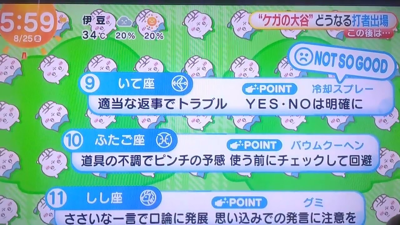 ちいかわ占い 8月25日
