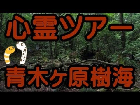 青木ヶ原樹海 上九一色村ツアー👻👻 みんなでドライブドライブ【ちんあなご＆女将さん】2023.8.16