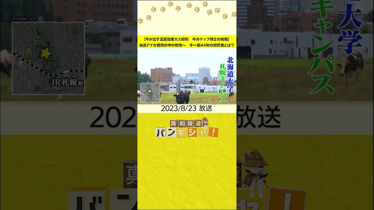【牛が出す温室効果ガス抑制　牛のゲップ博士の挑戦】後呂アナが都市の中の牧場へ　牛一筋44年の研究者とは？