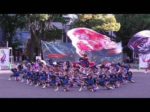 「八雲一座」どまつり2023 8/26(土)【ナディアパーク】