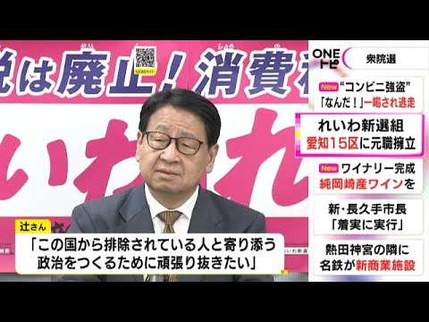 次期衆院選 愛知15区…れいわ新選組が元衆院議員の辻恵さんを擁立「排除されている人と寄り添う政治を」
