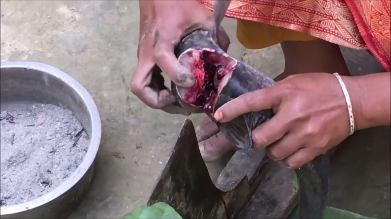 Village Vlog Official-01