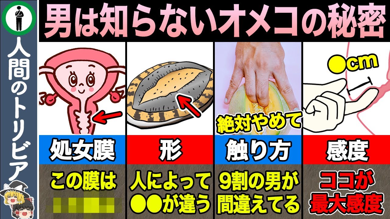 ９割の男が知らない　　　　　　　    　　　　　　　　　　　　　　　　　　 　　　　　　　　　　　　戦争中でもたった２分で寝ることができる米軍式睡眠法　　トリビアファイル　science study