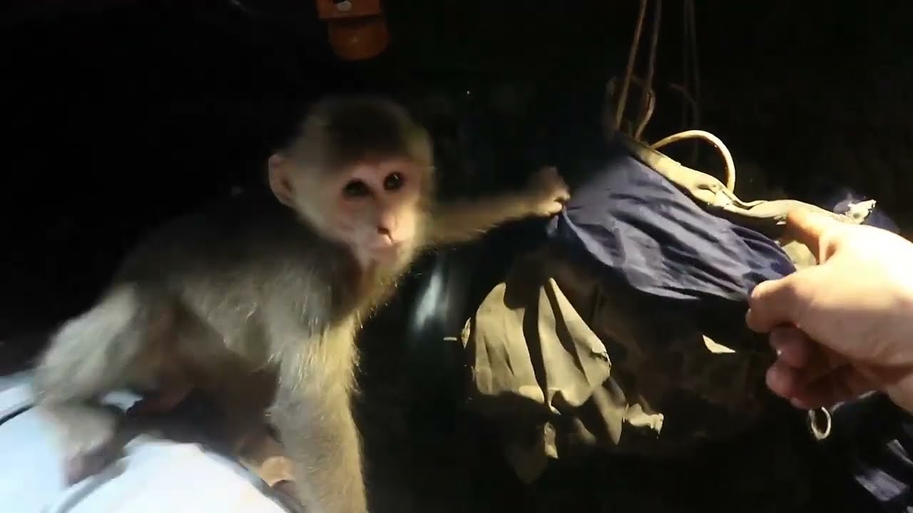 工藤静香(53)30年ぶり台湾コンサート 嵐の素顔・慟哭など名曲披露 | 2023年9月3日