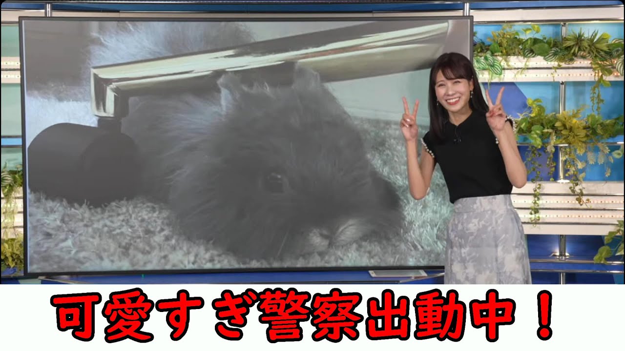 【戸北美月】わたげさんを溺愛する親バカみーちゃん