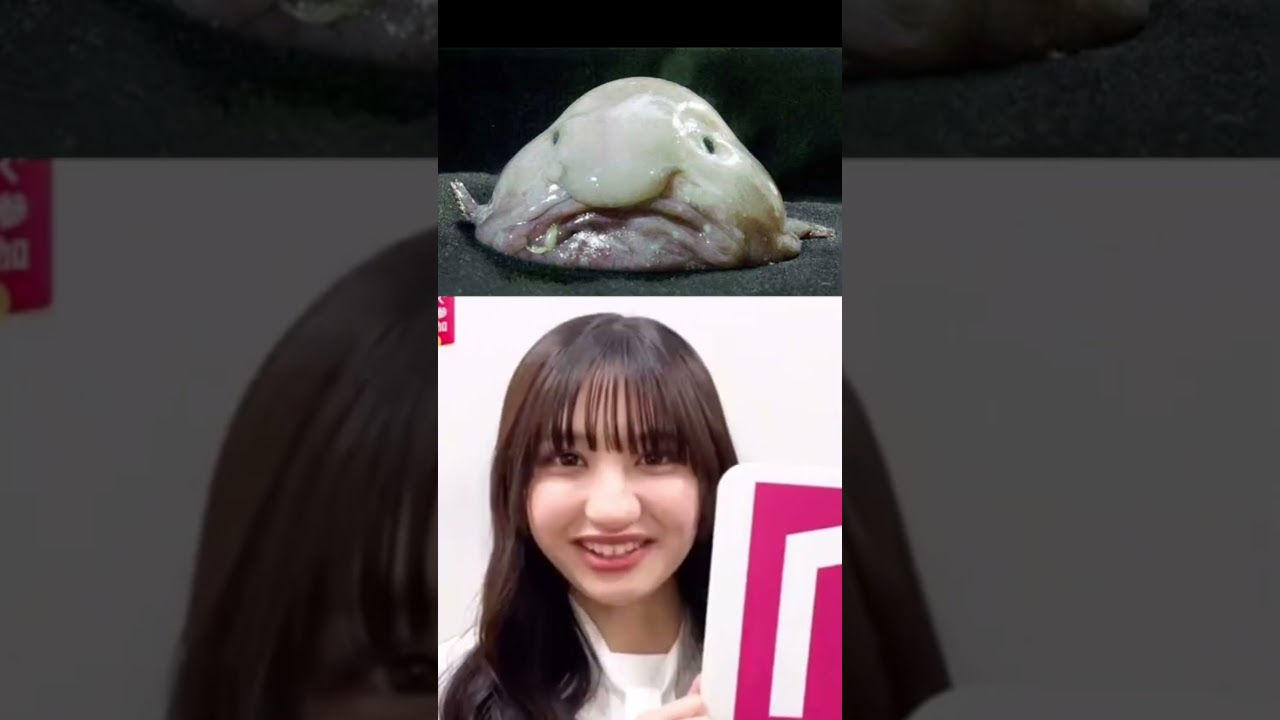 仮面高校生の妹がバスコショットに似てるとトレンド入りしてしまう