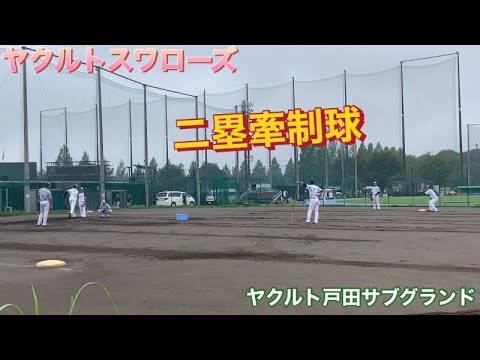 ヤクルトスワローズ　二塁　牽制球
