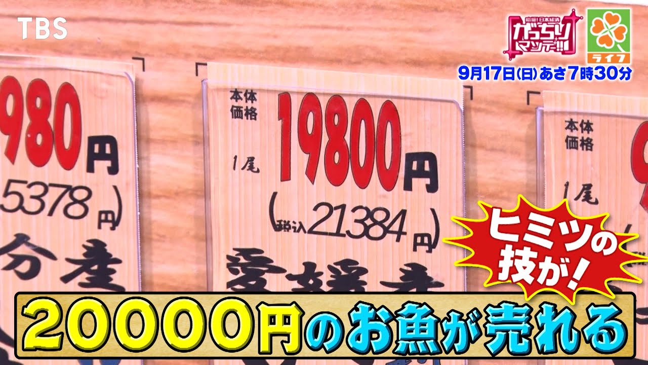 『がっちりマンデー!!』9/17(日) 2万円の魚が売れる!? スーパー ｢ライフ｣儲かりの秘密!!【TBS】