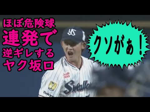 逆ギレ、大声で叫ぶ #坂口 #危険球 #阪神