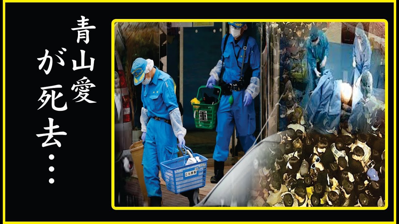 青山愛の芸能界復帰を目指し戦った3年半のガン闘病生活に涙が零れ落ちた…