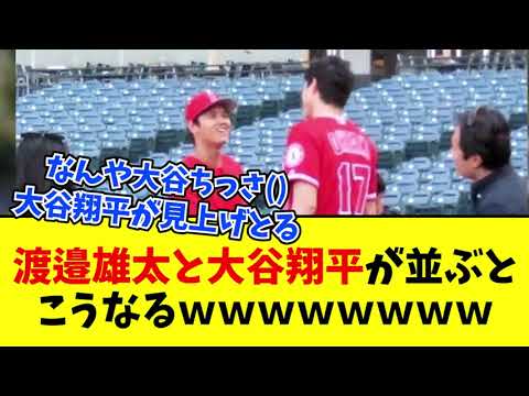【悲報】大谷翔平、渡邊雄太と並ぶと小さく見えてしまうｗｗｗｗｗｗｗｗｗｗ