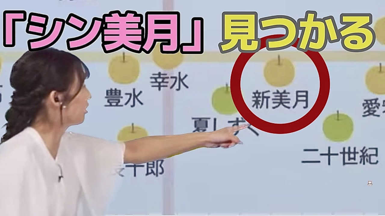 みーちゃん不在の日に真っ先に「シン美月」を発見したあいりん。みーちゃんも「新美月」の存在を知って産地まで調べていたみたい。【山岸愛梨、高山奈々、駒木結衣、戸北美月／ウェザーニュース切り抜き】