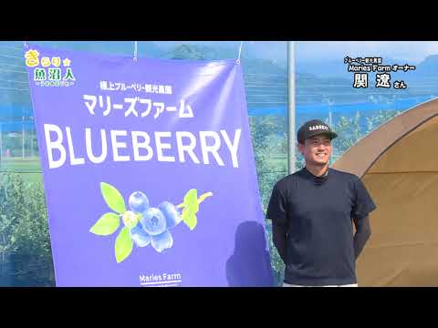 きらり★魚沼人「 ブルーベリー観光農園をオープンした関遼さん」