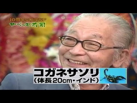 【めちゃ²イケてるッ!】10周年スペシャル企画 ワールド・バカ・クラシック決定！！めちゃイケ中間テスト、やべっち寿司・10周年ご相席スペシャル26 Vol.2