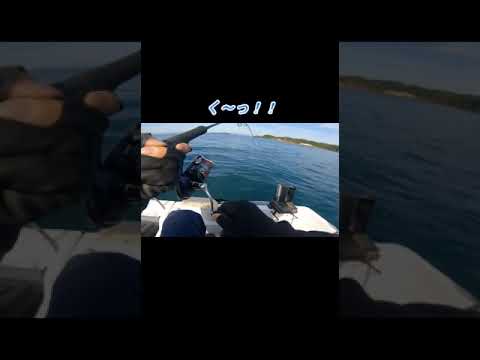 平和で静かな海に突然大物が現れる！！#shorts #釣り鹿児島#釣り根魚#釣り錦江湾