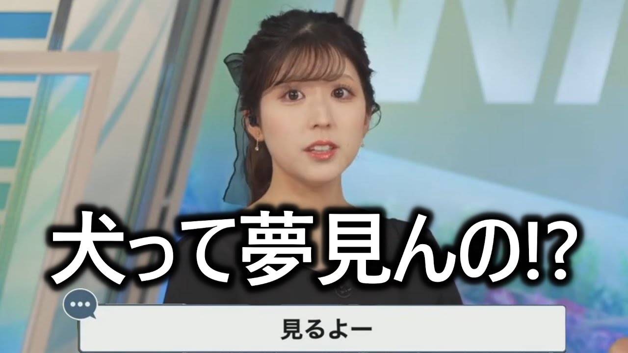 【小林李衣奈】犬の生態に衝撃を受けるお天気お姉さん【ウェザーニュース切り抜き りーちゃんまとめ】