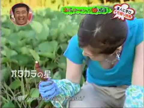 阿部哲子アナ　胸ちら