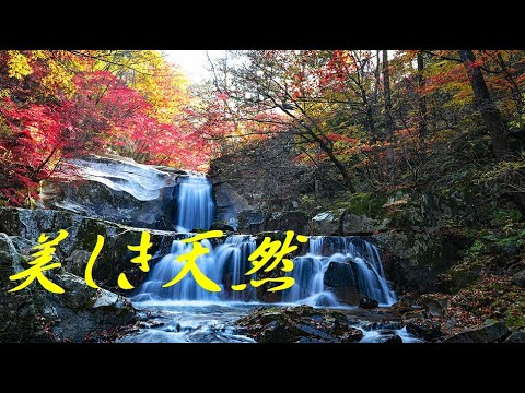 美しき天然（天然の美）　ギターで唱歌＋歌（緑咲香澄）