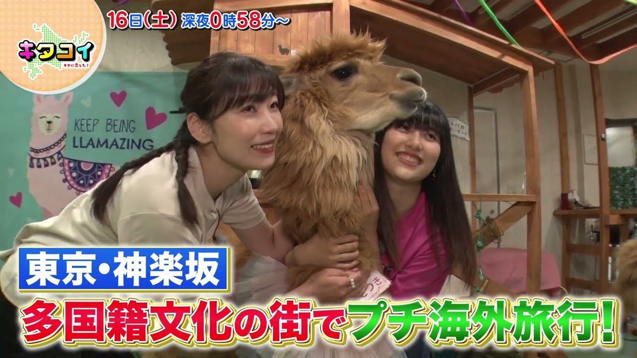 9/16(土)神楽坂でプチ海外旅行！佐藤優樹が番組初登場！【キタコイ】