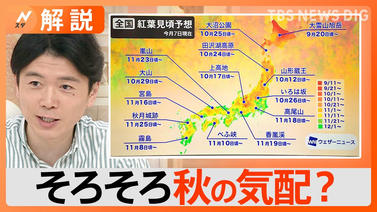 全国各地の紅葉 見頃はいつ？日光のいろは坂は？高尾山は？【Nスタ解説】｜TBS NEWS DIG