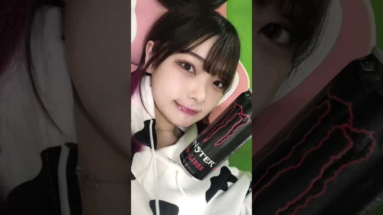 🍳たまちゃん歌詞動画🐾 #たまちゃん