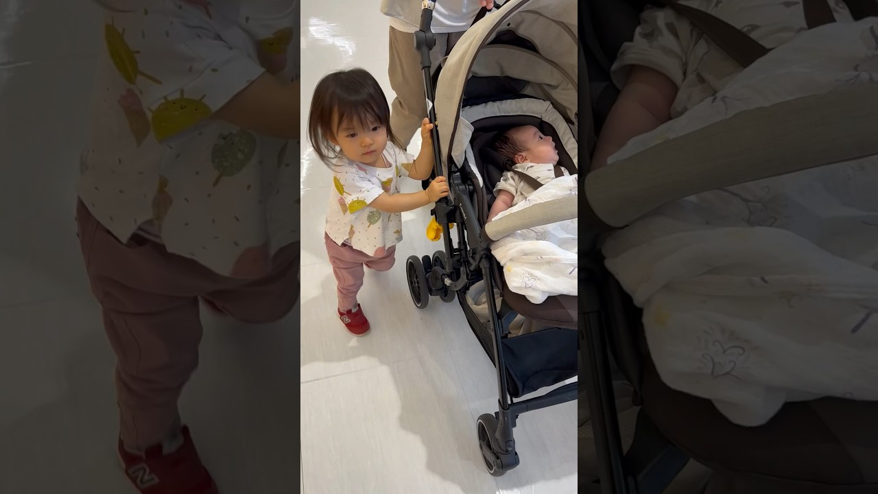 弟が乗るベビーカーを押してあげたいお姉ちゃん【生後2ヶ月&1歳8ヶ月】 #shorts #赤ちゃん #baby #年子育児 #marin_movies
