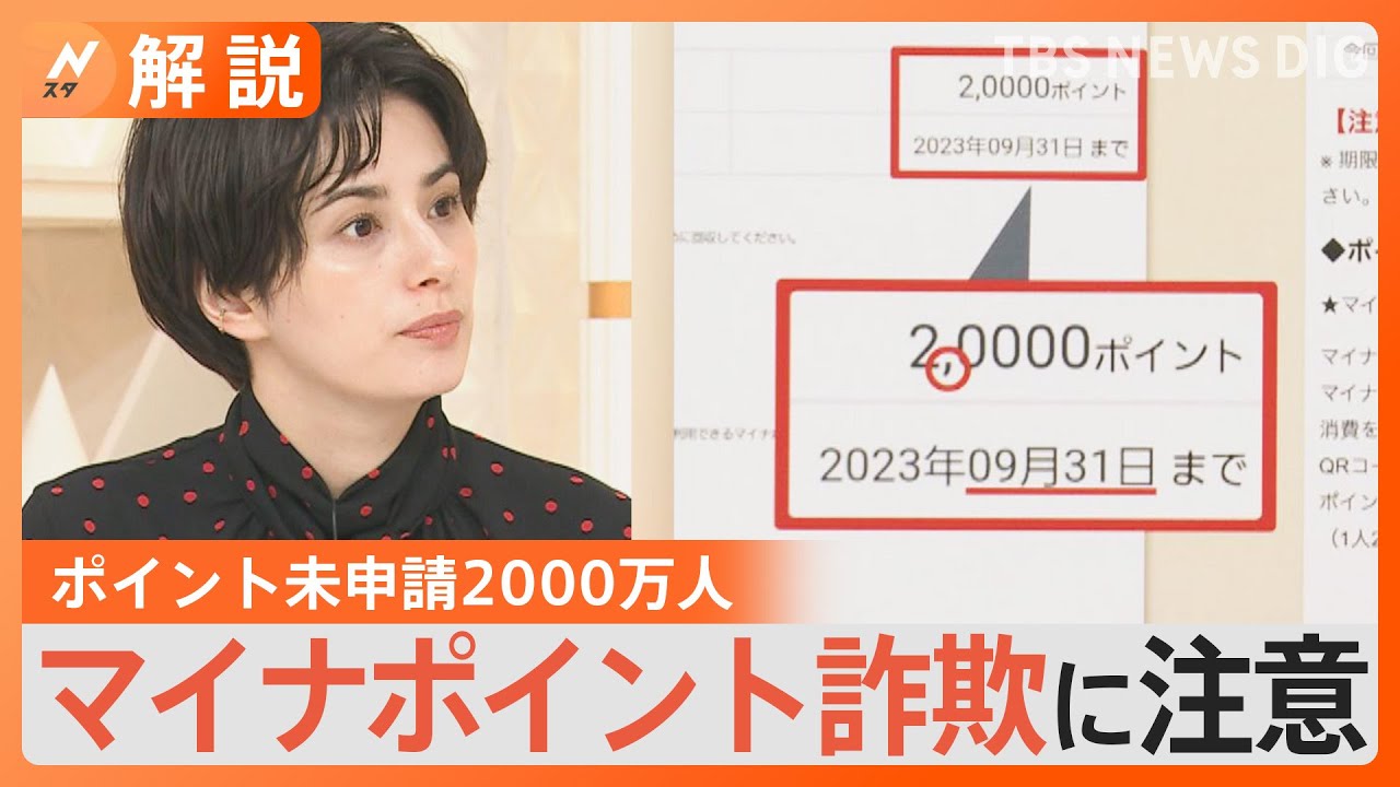 マイナポイントめぐる“詐欺メール”横行　期限迫る中「焦って入力してしまった」　総務省が注意呼びかけ【Nスタ解説】｜TBS NEWS DIG