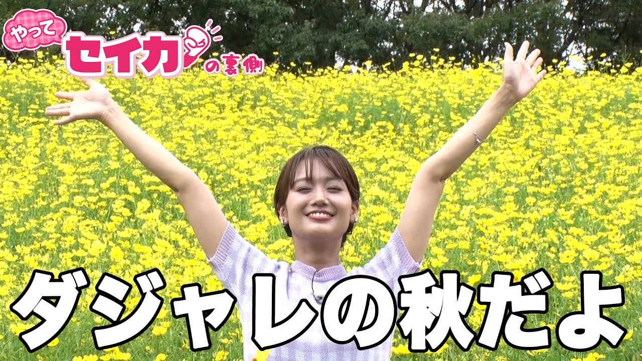 「安近短パーク」で“〇〇の秋”を楽しみ尽くす！！【セイカの裏側60】