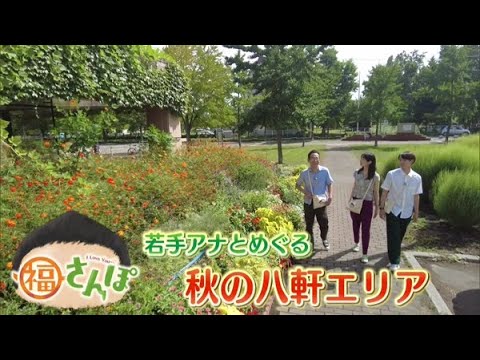 福さんぽに若手アナ登場！秋めく八軒エリア編【どさんこワイド179】2023.09.22放送