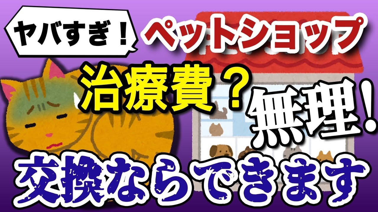 【炎上中】獣医がヤバすぎるペットショップCoo&RIKUの対応をブチ切れ解説