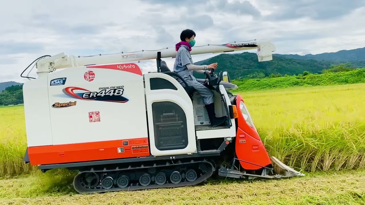 2023稲刈りも終盤。妻がコンバイン担当。#与謝野町#田んぼ#稲刈り#コンバイン#Kubota#新米#京都祐喜