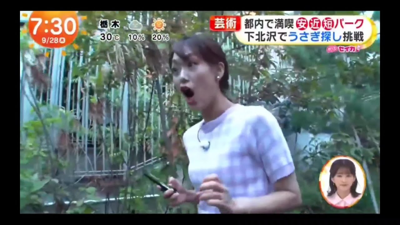 【井上清華・めざましテレビ】『やってセイカ』