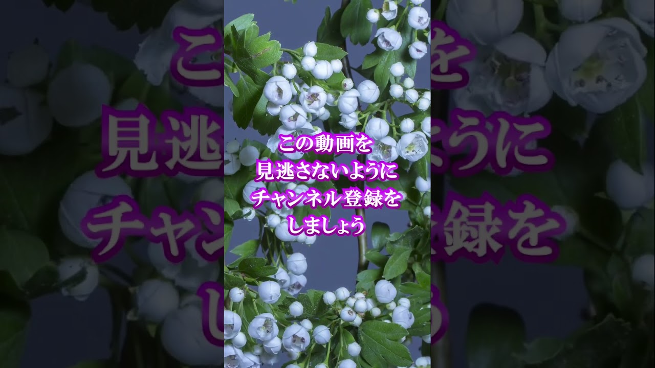 あなたの想い、届きます🌙