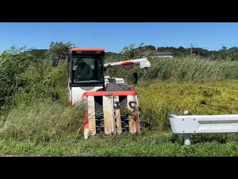 2023稲刈りの出来事