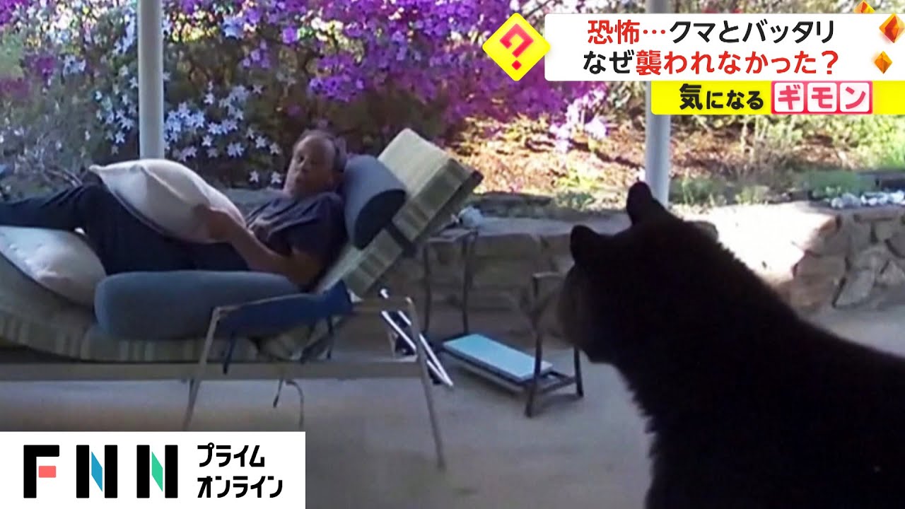 恐怖...クマとバッタリ　なぜ襲われなかった? (2023/04/17)