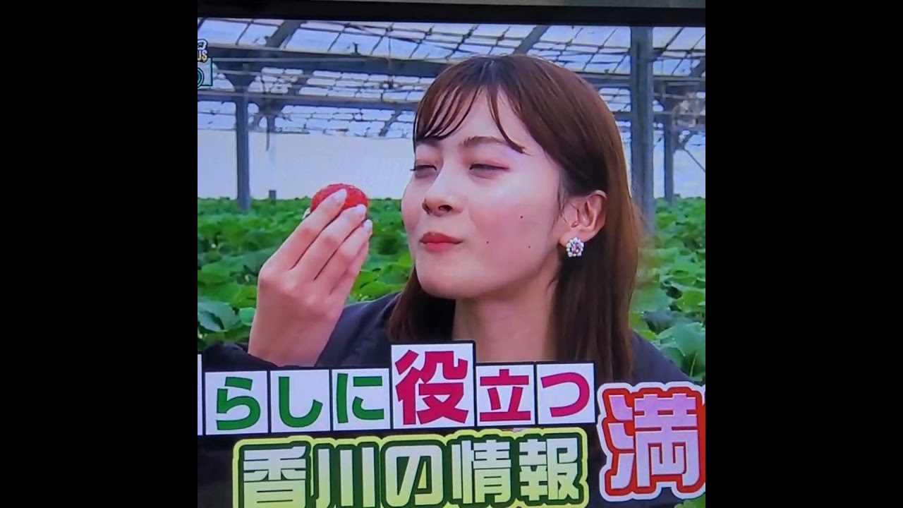 中塚美緒アナ　#shorts