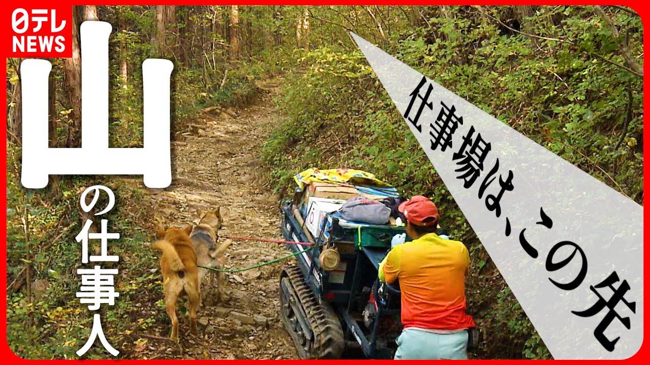 【旬に稼ぐ】標高700メートルで働く仕事人!登山客で行列のできる山頂の茶屋“かき入れ時”に密着『every.特集』