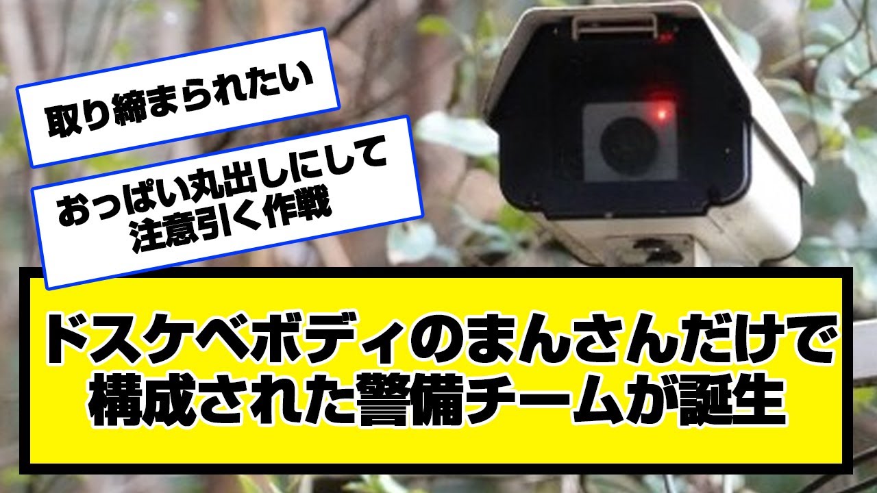 ドスケベボディのまんさんだけで構成された警備チームが誕生【ネット民の反応】