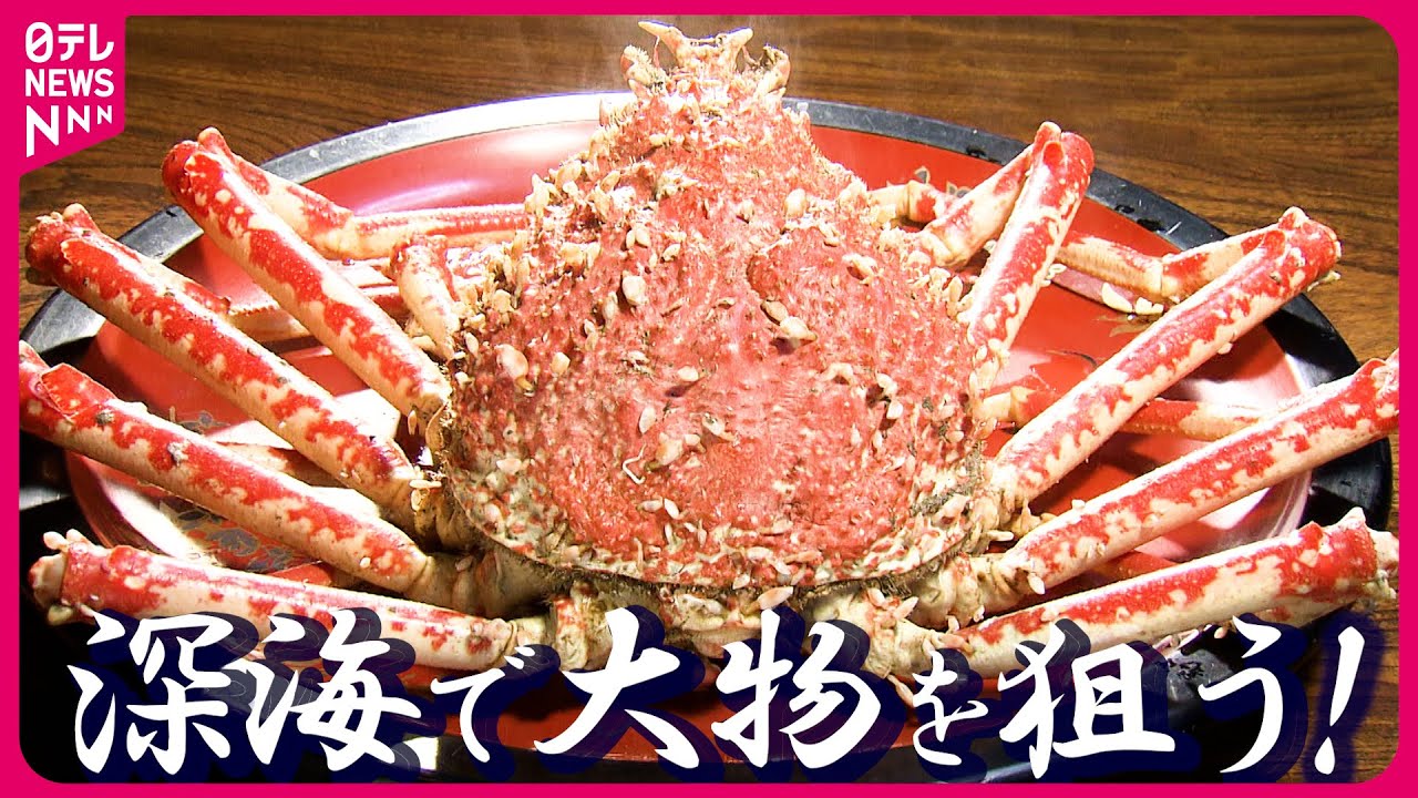 【海で稼ぐ82歳】深海魚求めて60年!海難事故を教訓に…海の仕事人かき入れ時に密着『every.特集』